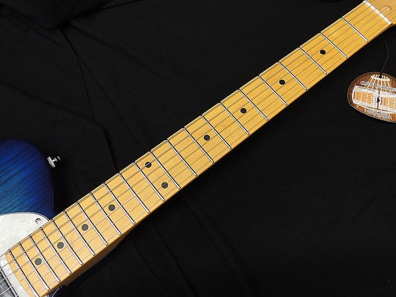 Amazon | Fujigen フジゲン FGN FUJIGEN NTE10MAH SBB Neo Classic