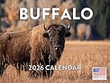 Buffalo Calendar 2026 Wall 12 Month Gifts For Buffalo Lovers Women Men Monthly | American Made In The USA
