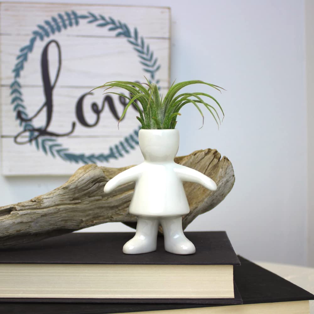 3.5 Inch White Ceramic Girl Shaped Planter with Live Tillandsia Air Plant - Potted Indoor Air Plants with People and Pet Shaped Air Plant Holders for Home and Office Decor