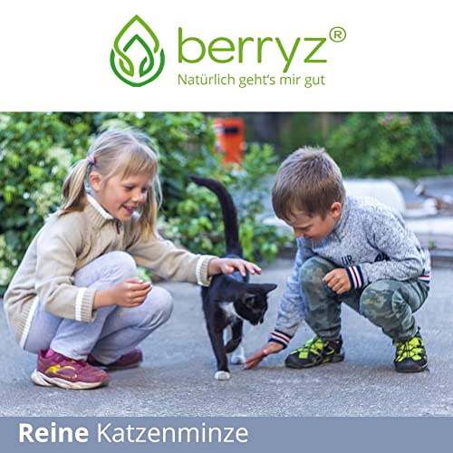 Katzenminze XXXL 100% Lebensmittelqualität aus französischem Anbau ohne Düngung | Katzenminzetee | Nepeta cataria ideal auch für Katzenspielzeug Catnip