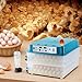Incubators for Hatching Eggs,120 Egg Incubator with Automatic Egg Turning and Temperature Control,Humidity Monitor, Dual Air Vent, 360° Clear View,Poultry Hatcher Machine (Blue, One Size)