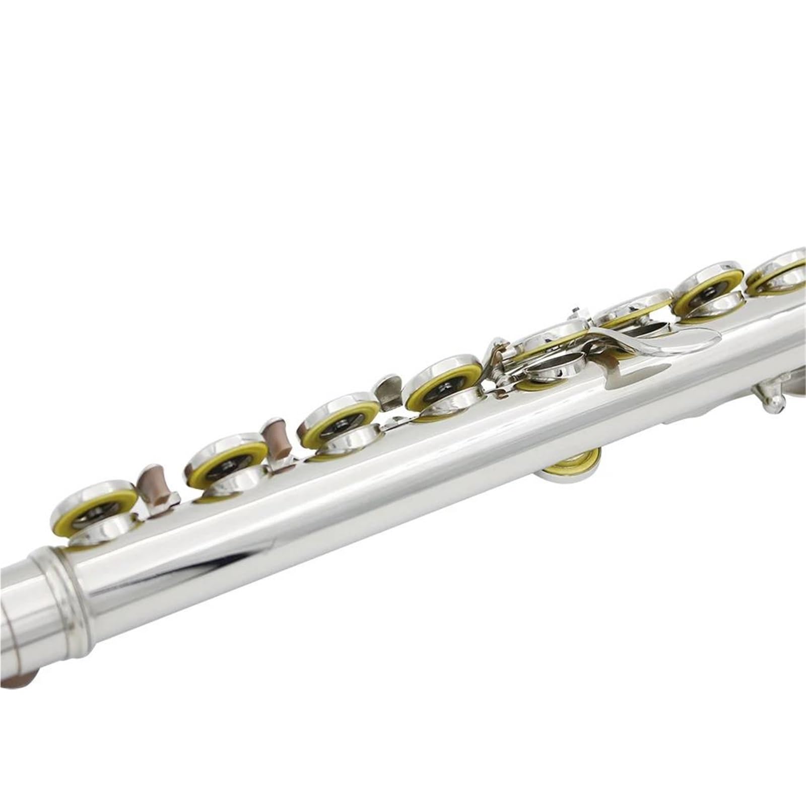 16 Geschlossene Offene Löcher C-Taste Professionelles Querflöten Leder Mit Teile Box Sets(No logo)