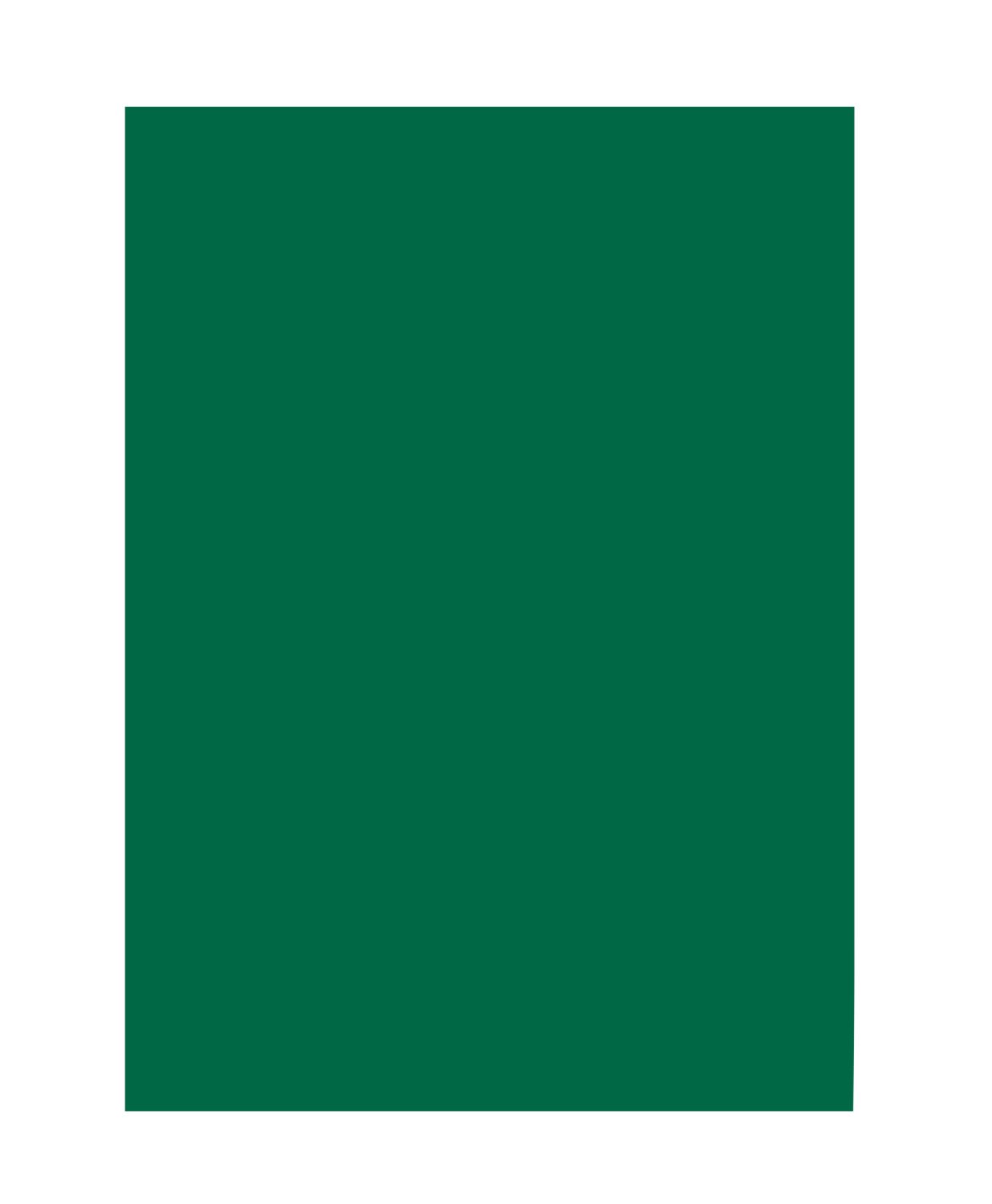 folia 6358 Coloured Paper Fir Green DIN A3 130 g/m² 50 Sheets for Crafts and Creative Design of Cards, Window Pictures and Scrapbooking
