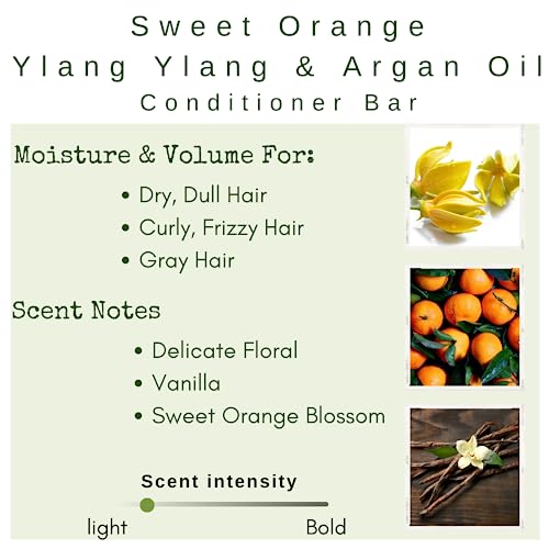 /Liv/ Nature Conditioner Bar For Dry Hair, Sulfate-Free, Natural Ingredients, Plant-Based, Sweet Orange,Ylang Ylang, & Argan Oil, Plastic-Free Conditioner Bar For Travel, Orange Ylang Ylang (1Pack) #TOP2