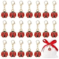 BOOMTOP 24pcs Marienkäfer Anhänger Klein Schlüsselanhänger Glückbringer Kleiner Geschenkanhänger Abschluss Prüfung Silvester Weihnachten Neujahr Geschenk Adventskalender Füllung
