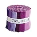 Connecting Threads Color Wheel Premium Precut Fabric Bundle (Summer Garden 2.5" Strips)