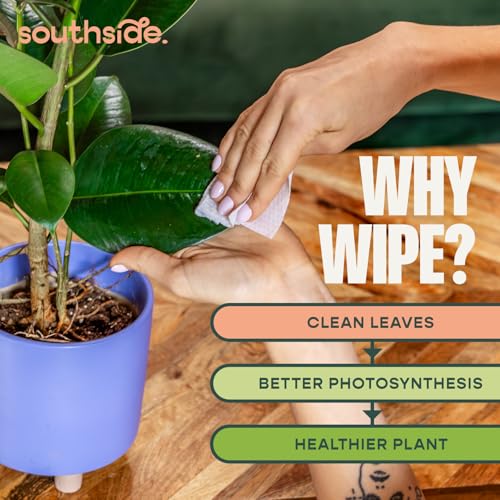 Plant Care Duo – Root Drops & Cleaning Wipes miniatura 3