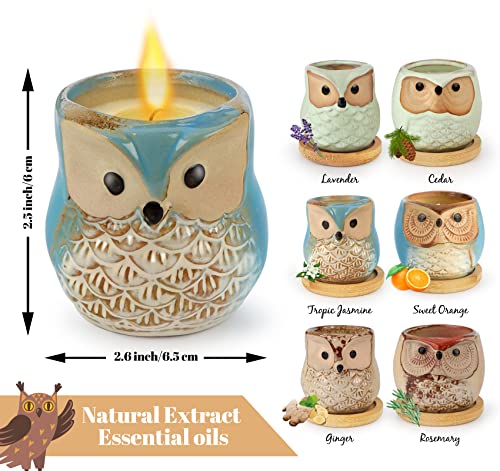 Kinforse Luxury Scented Candle Gift Set for Women - 6-Piece Whimsical Owl-Themed Birthday Gifts for Her, Enchanting Aromatherapy Presents for Women, Thoughtful Anniversary for Best Friend, Mom, Wife - Image 3