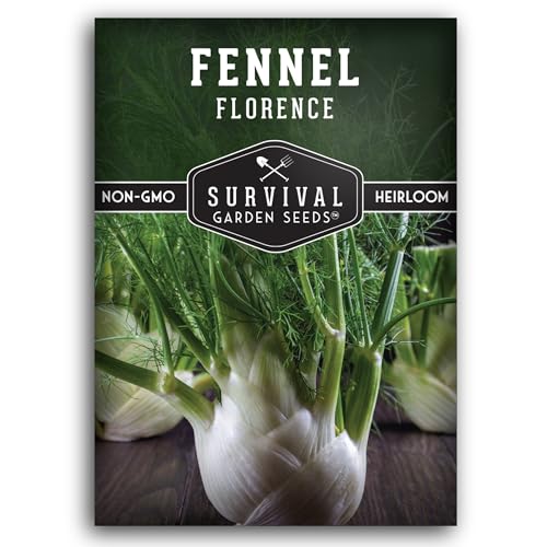 Fennel Seed for Planting - 1 Packet with Instructions to Grow Cool-Weather Florence Fennel (Finnochio) in Your Home Vegetable Garden - Non-GMO Heirloom Variety - Survival Garden Seeds