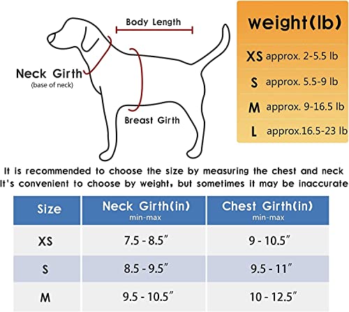 Yimeis Dog Harness And Leash Set, No Pull Soft Mesh Pet Harness, Reflective Adjustable Puppy Vest For Small Medium Large Dogs, Cats (Greyblue, X-Small (Pack Of 1) #TOP5