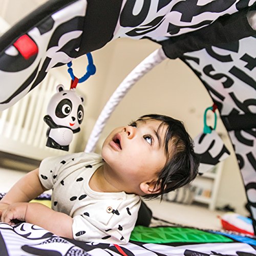 Baby Einstein, Bold New World™ Palestrina con