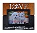 Spiretro 4 x 6 inch Memorial Pet Dog Cat Wood Picture Frame Plexiglass Tabletop Display Wall Mounting Metallic Blond Patina Espresso Black Photo Frame