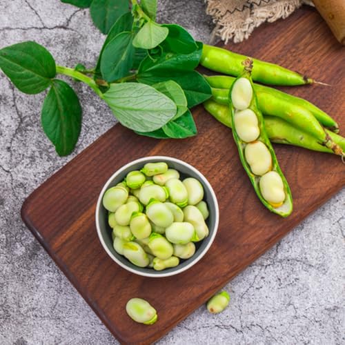 Semi di fava,semi di da giardino resistenti perenni Semi di ortaggi,regali per gli amanti del 15pcs
