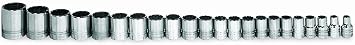 Williams MSB-20HRC 20-Piece 3/8-Inch Drive Metric Shallow 6 Point Socket Set