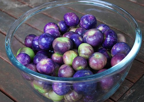 Miniatura 2 de Tomatillo Morado Morado