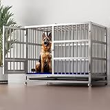 EIIEL Large Stainless Steel Dog Crate XL 43 inch Indoor Kennel Cages and Playpen for Training Large