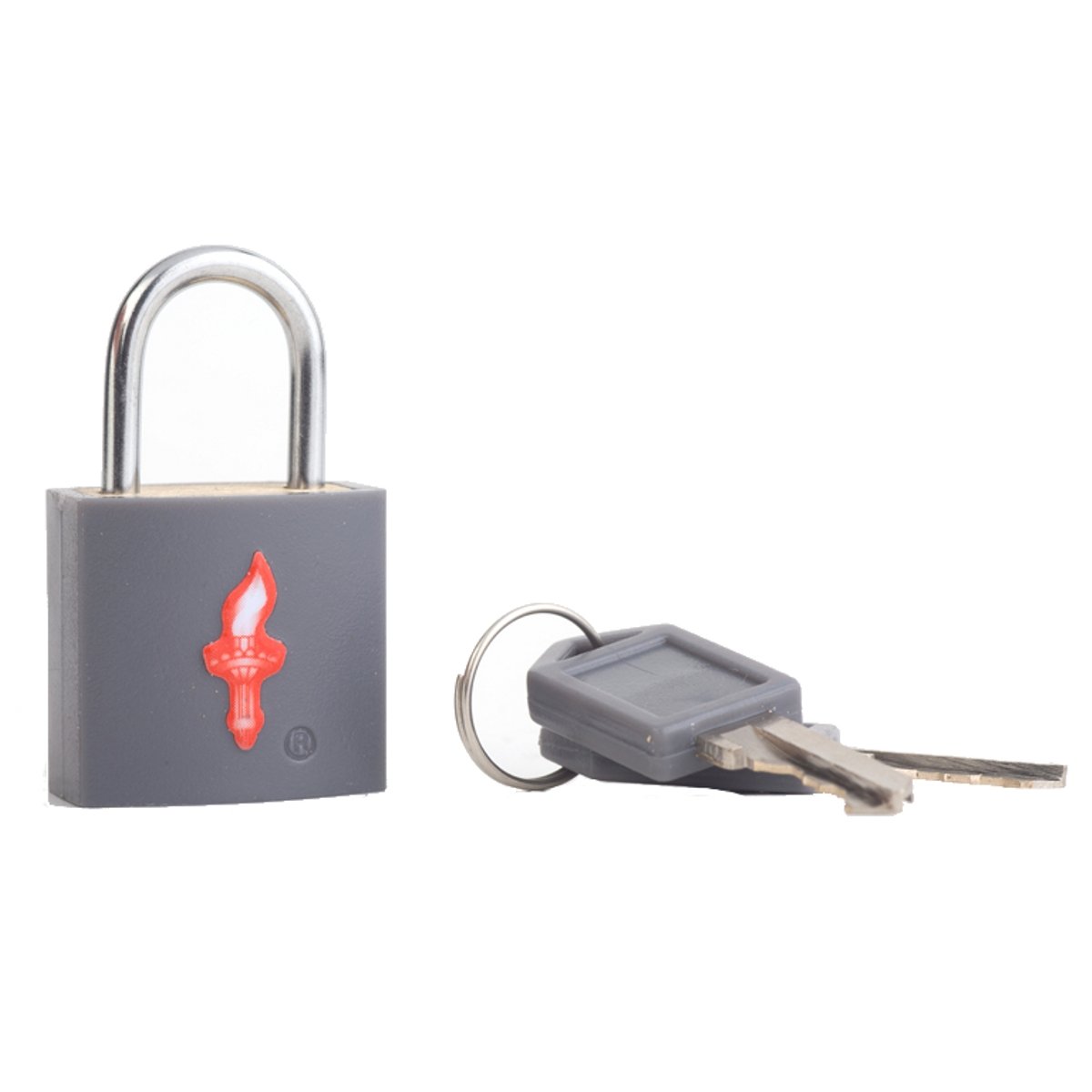 Safe Skies TSA Neon TSA-Approved Padlock, Charcoal, One Size