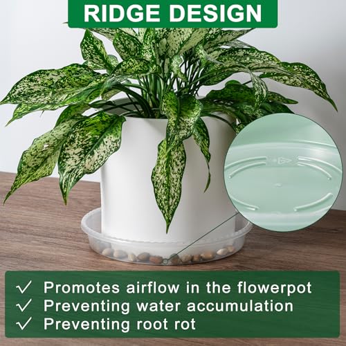 Hoewina HPTP-6P-CLEAR-FT Plant Saucer Tray - 6 Pack 10 Inch Plastic Plant Trays thumb #4