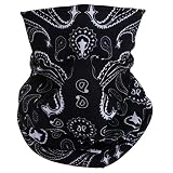 TZ Promise Tube Bandana Face Mask Scarf Paisley Print Head Neck Gaiter Motorcycle Bike Hiking (Black)