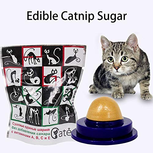 Honorall Efeito longo Catnip Comestível Açúcar Gato Creme de Nutrição Lambendo Sólidos Gatinhos Doce