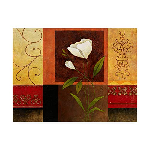 Trademark Fine Art White Flowers Ornate Red by Pablo Esteban, 18x24 by Trademark Fine Art - Used condition - US$24.08