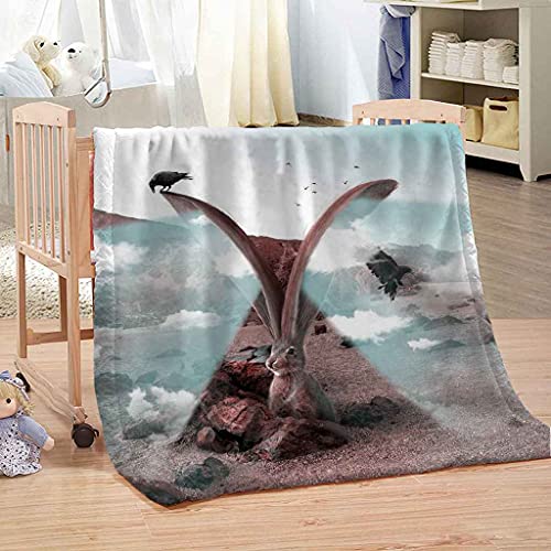 Couverture canapé lit microfibre pour des soirées cocooning - 4