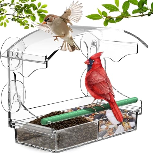 Window Bird Feeder with 4 Strong Suction Cups, Squirrel Proof Hanging Station, Removable Seed Tray for Bird Watching Bird Feeders,Acrylic Birdhouse Kit for Garden Outdoor (Elliptical)