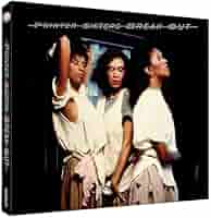 プロモ盤 Pointer Sisters Having a Party プロモ盤 Pointer Sisters Having a Party
