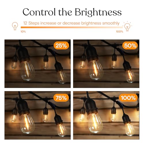 Brightech AMB-DMR Smart Dimmer Plug For Led Outdoor String Lights thumb #6