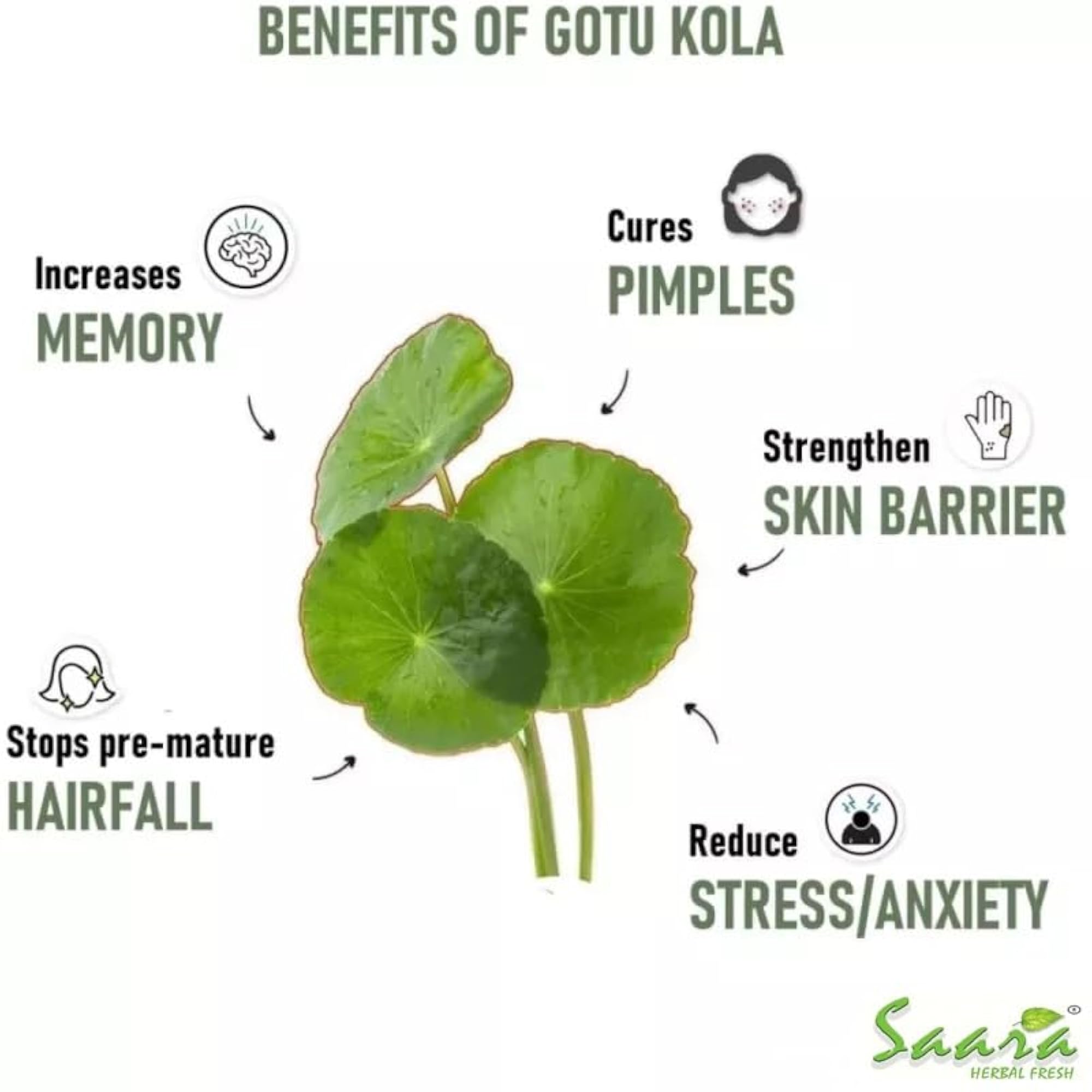 Saara HERBAL FRESH Vallarai Powder for Health