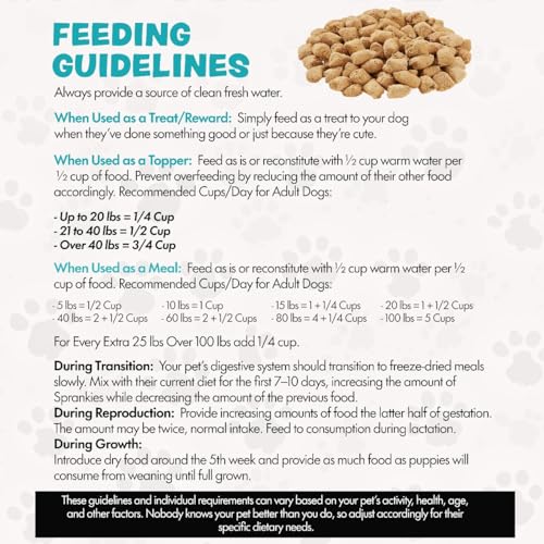 Image of Freeze Dried Dog Food for Small & Large Breeds Dogs, 6 Oz Beef Dog Food Toppers for Picky Eatres, Made in USA - Grain Free & All Natural Freeze Dried Dog Treats Made with 96% Meat Organs