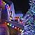 WATERGLIDE C6 Christmas Lights, 33ft 100 LED Faceted String Lights Green Wire Fairy Lights with 29V Safe Adaptor, 8 Lighting Mode, Waterproof for Indoor Outdoor Patio Xmas Tree Party Decor, Multicolor