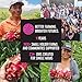 Pitaya Foods - Organic Acai Berry Bite-Sized Pieces, Pre-Packaged Frozen Fruit, No Added Sugar Or Preservatives, High In Fiber, Vitamin A & Antioxidants, 100% Fruit, Non-Gmo, 32 Ounce Bag