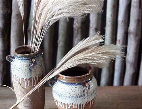 Miniatura 3 de 1 ramo de 8 cabezas hermosa decoración del hogar flores secas pampas silvestres pequeña caña flor flores artificiales