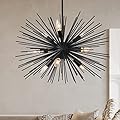 ZIRALIO Black Sputnik Chandelier Modern 9-Light Dining Room Chandelier Light Fixture for Living Room, Bedroom, Foyer, Kitchen, 24in 13LB Solid Metal