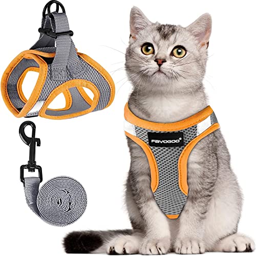 Image of FAYOGOO Cat Harness, Cat Leash and Harness Set for Walking Escape Proof, Harness for Small Cats /Small Dogs, Large Kitten /Puppy Harness and Leash, Harness for Cats S-XXL(Gray, Medium)