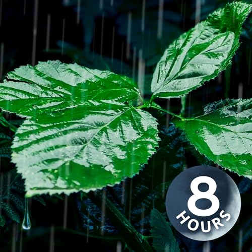 Relaxing Rain Noise for Sleep, Relaxation, & Total Tranquility 8-Hours Podcast Por arte de portada