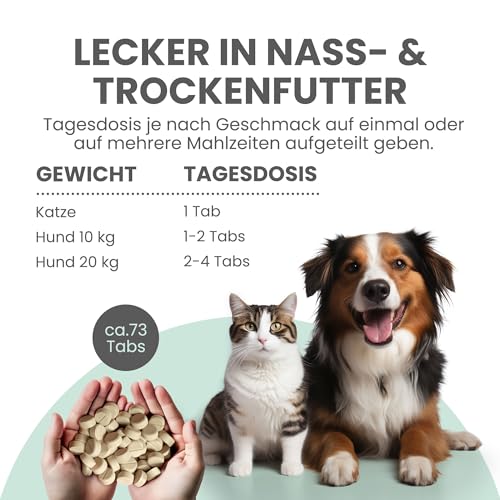 noms+ Wohlfühltabs - Beruhigungsmittel für Hunde bei Stress, Angst, Unruhe und Hyperaktivität | natürliche Entspannung mit Hanföl, Baldrian, Johanniskraut, Passionsblume & Ashwagandha