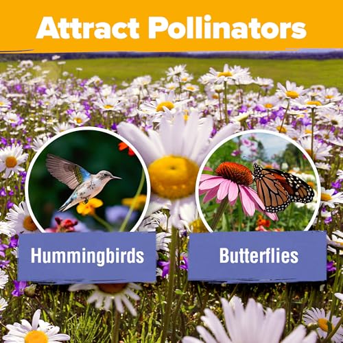 Image of HOME GROWN USA Wildflower Seeds Bulk Mix | 44,000 Non-GMO Perennial Flower Seed for Full Sun & Shade | 19 Varieties for Butterfly & Pollinator Garden | 2 oz