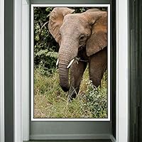 Framed Canvas Wall Art Elephants Animals Dramatic Elephants Farmhouse/Country Living Room Multicolor Photography - 16x24 inches