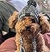 Haustier Pompom Strickmütze, FainFun Gestrickte Warm Winddicht Hundemütze, Winddichte Haustier Kopfbedeckung für Winter, Graue Gestrickte Hund Kappen, Flauschige Warme Hundehut mit Langem Zopf, S