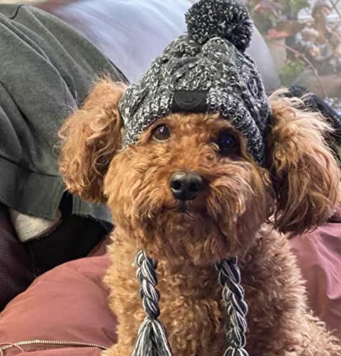 Haustier Pompom Strickmütze, FainFun Gestrickte Warm Winddicht Hundemütze, Winddichte Haustier Kopfbedeckung für Winter, Graue Gestrickte Hund Kappen, Flauschige Warme Hundehut mit Langem Zopf, S