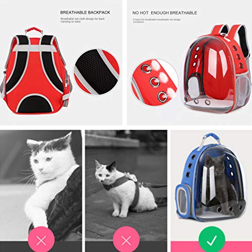 Mochila para transporte de cães para animais de estimação, bolsa de viagem portátil e transparente c