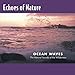Echoes of Nature: Ocean Waves
