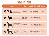 MICOOYO 3Pack Hundedecken Waschbar, Flauschige Fleece Hunde Decke für Katzen Kätzchen Welpen, Warme Decke mit Pfotenaufdruck für Kleine Mittlere und Große Hunde(Small)