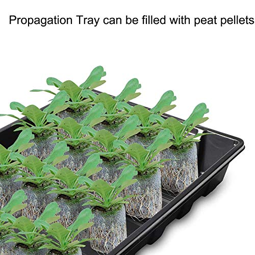 Plateau de semences en plastique pour culture hydroponique, germination des plantes, design sans trous pour une croissance efficace des semis