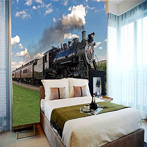 Papier Peint 3D Train Noir Rétro pour Agrandir une Petite Pièce