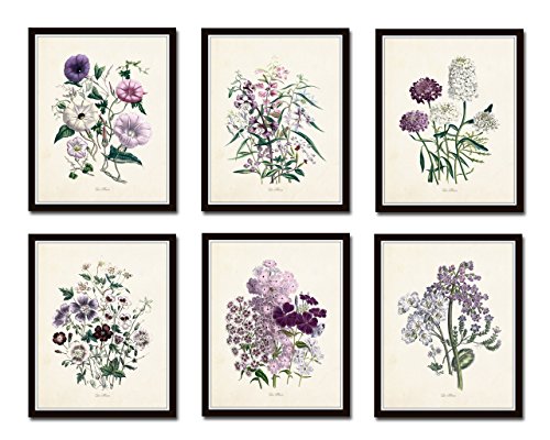 Botanical Print Set Les Fleurs No. 7 Set - Botanical