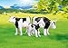 Produktbild PLAYMOBIL 7892 - Rinderfamilie: Kuh, Bulle, Kälbchen (Folienverpackung)