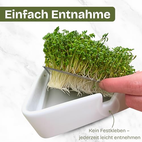 NEU! Kresse Anzuchtschalen 3er Set – Hochwertige Kresseschalen aus Keramik für die einfache Kresseanzucht, Anzuchtschale für gesunde Microgreens, inklusive 3 Kressesiebe – ideal für alle